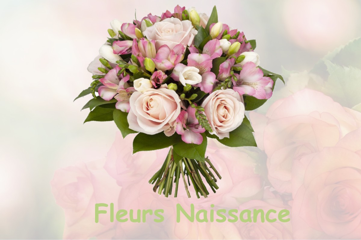 fleurs naissance AUSSONNE