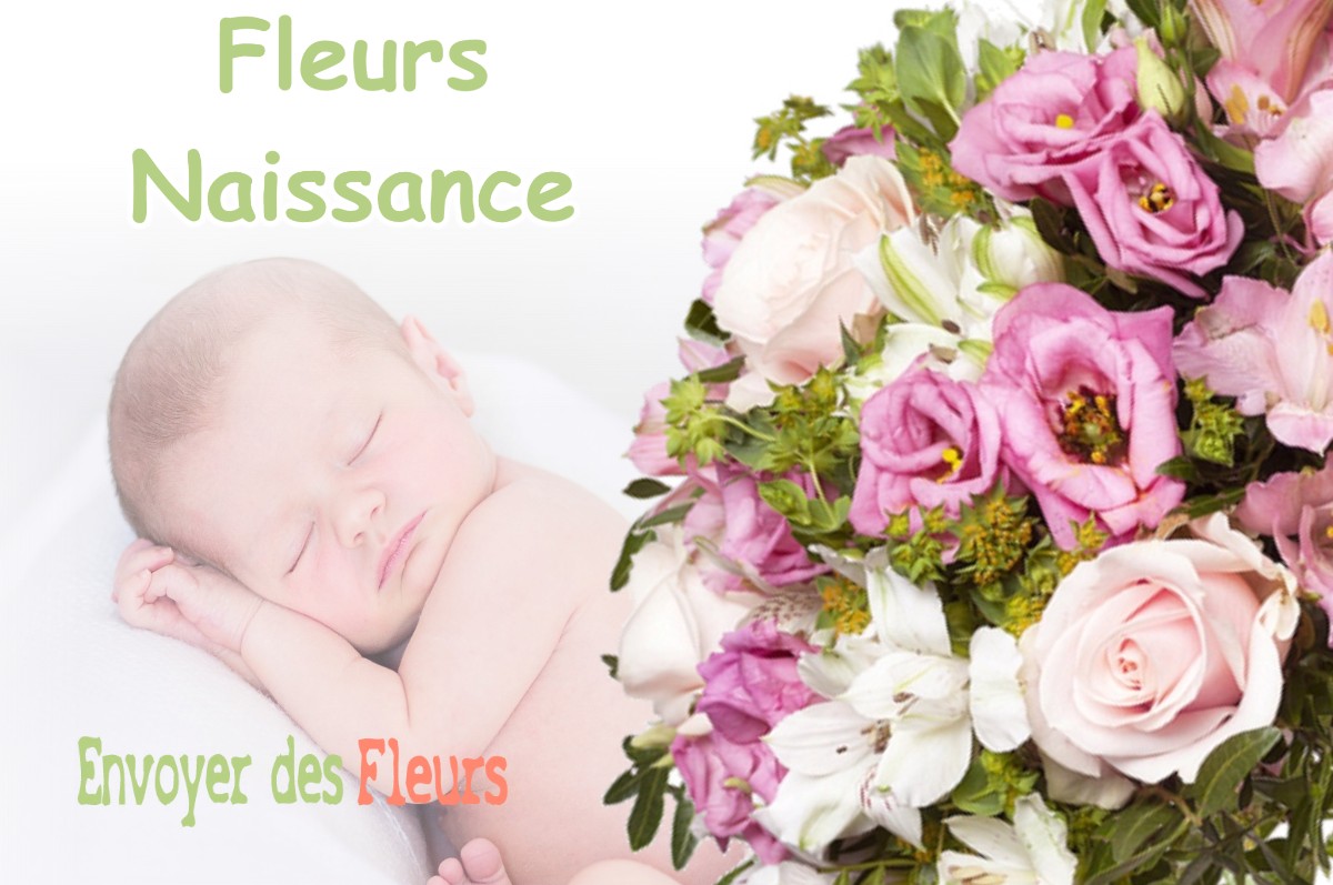 lIVRAISON FLEURS NAISSANCE à AUSSONNE