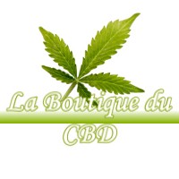 LA BOUTIQUE DU CBD AUSSONNE 